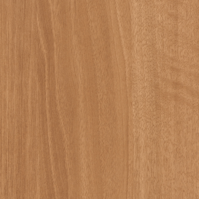 Brazilwood