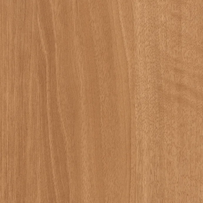 Brazilwood