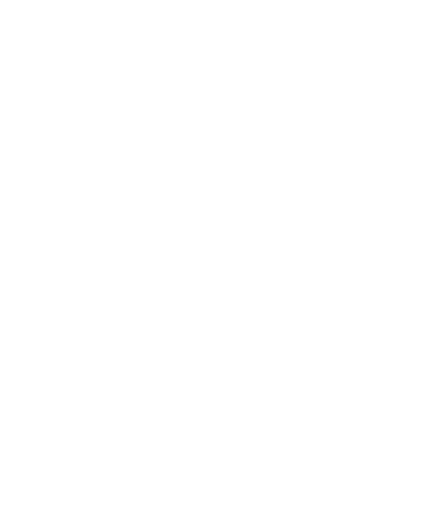 Hamilton Casework Solutions