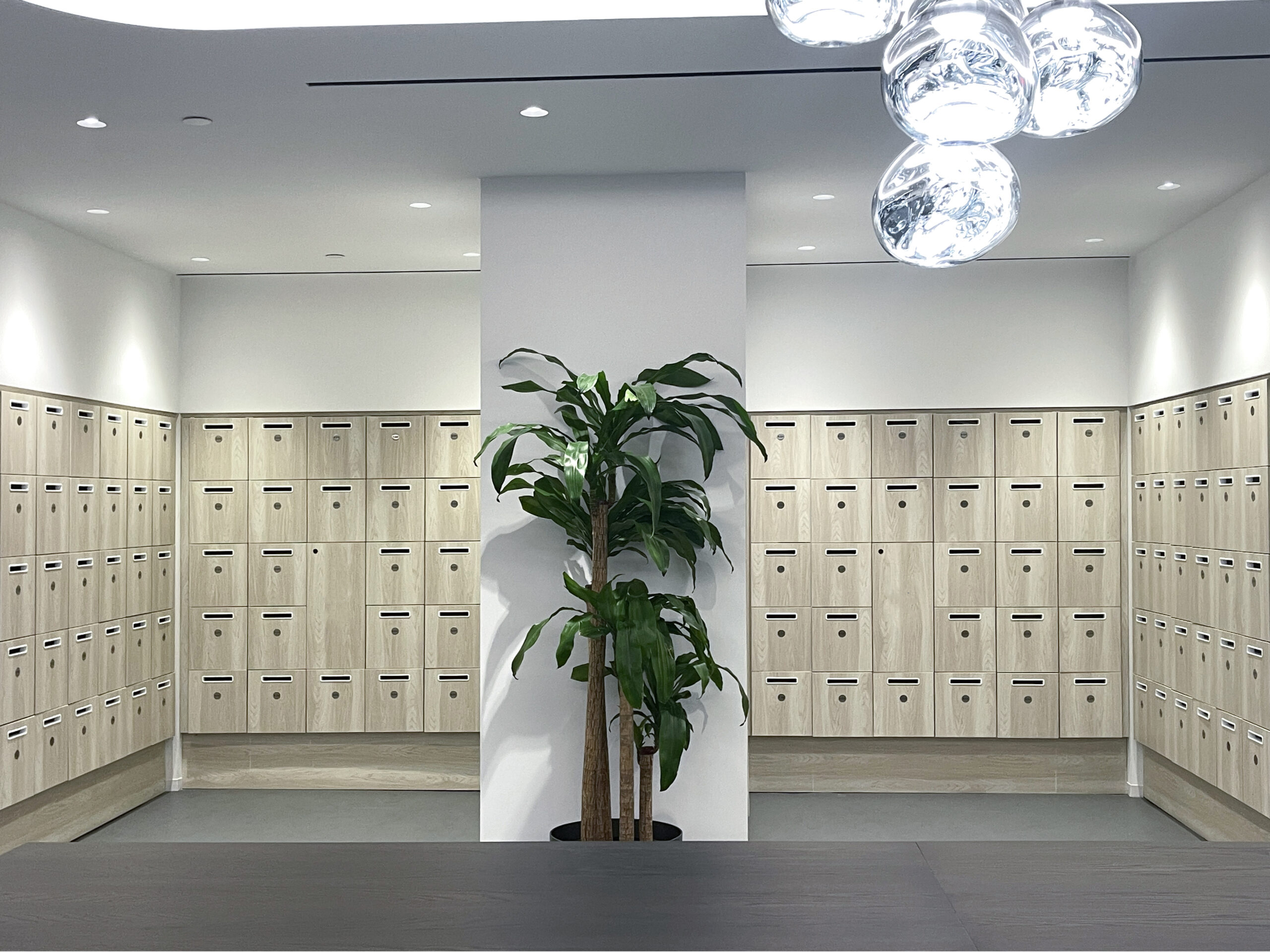 Custom colored vinyl wrapped floor-to-ceiling locker wall