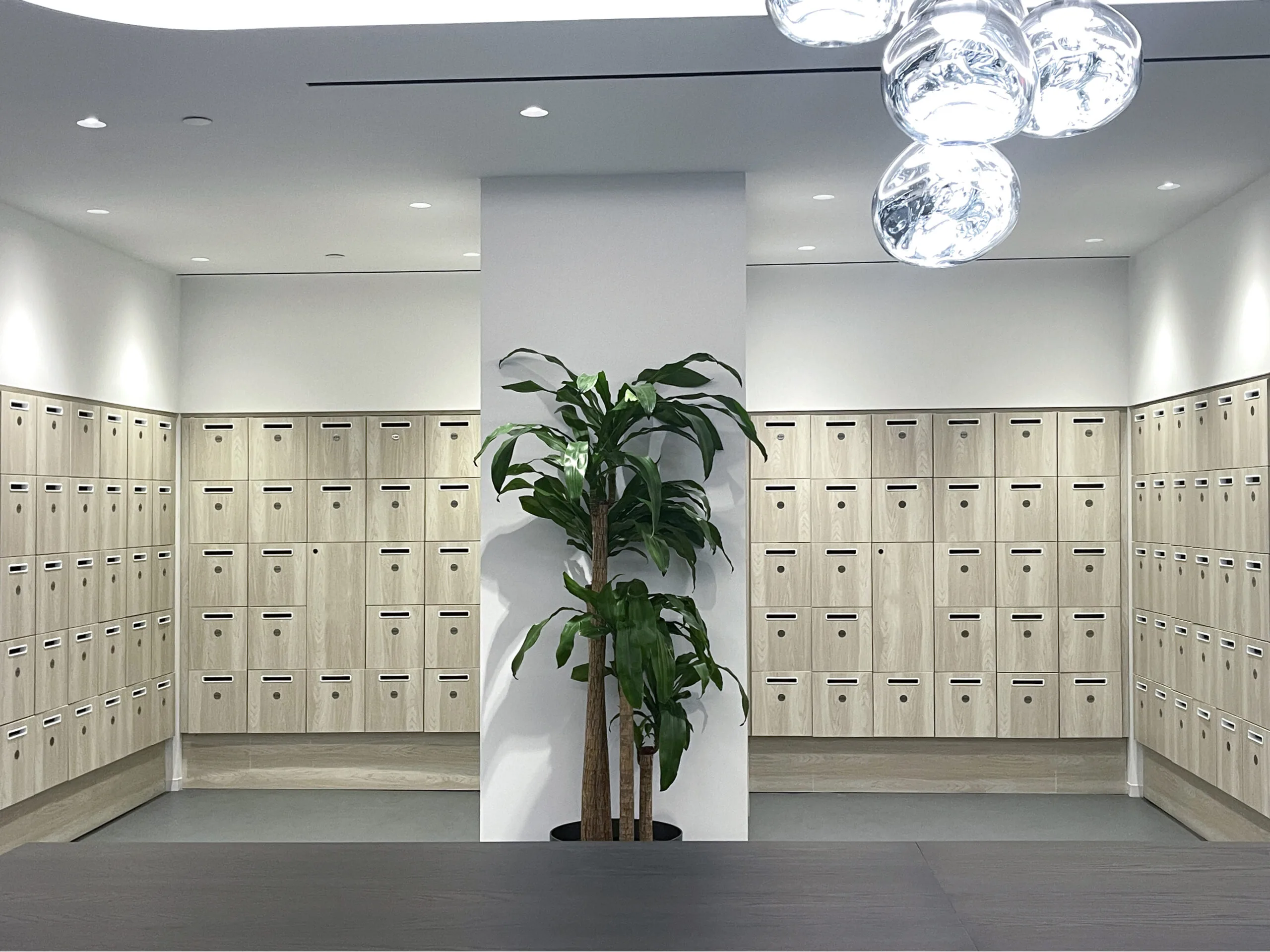 Custom colored vinyl wrapped floor-to-ceiling locker wall