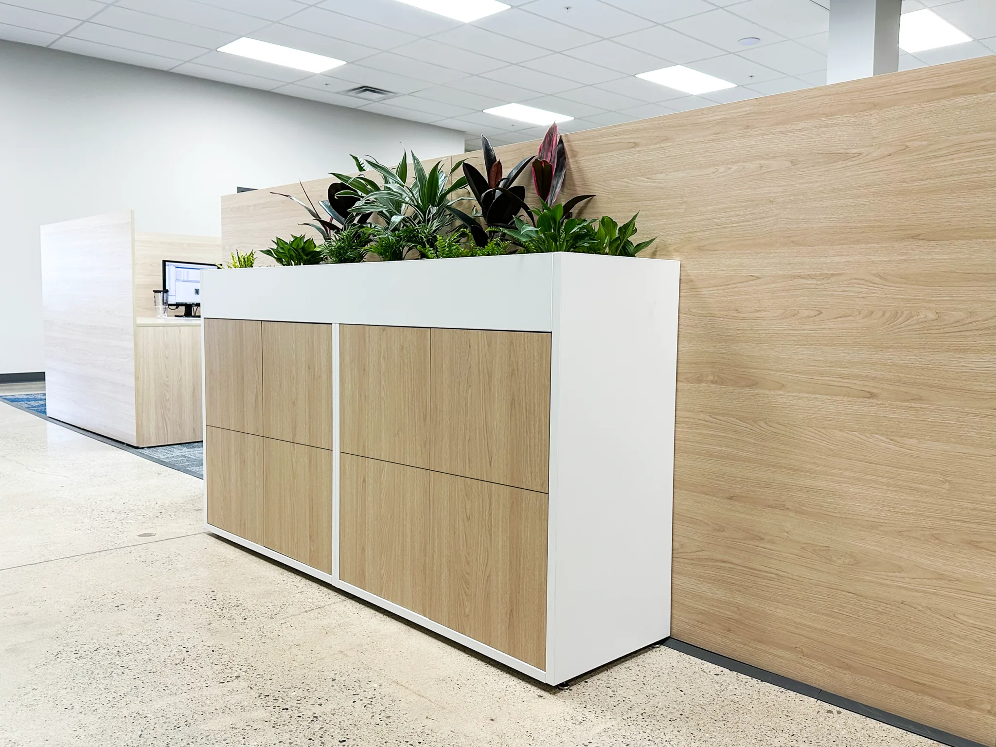 White and oak planter box storage divider