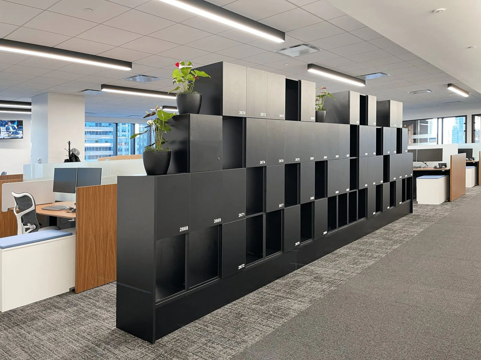 Stepped black locker divider separating an open-plan workspace, planters on the upper volumes