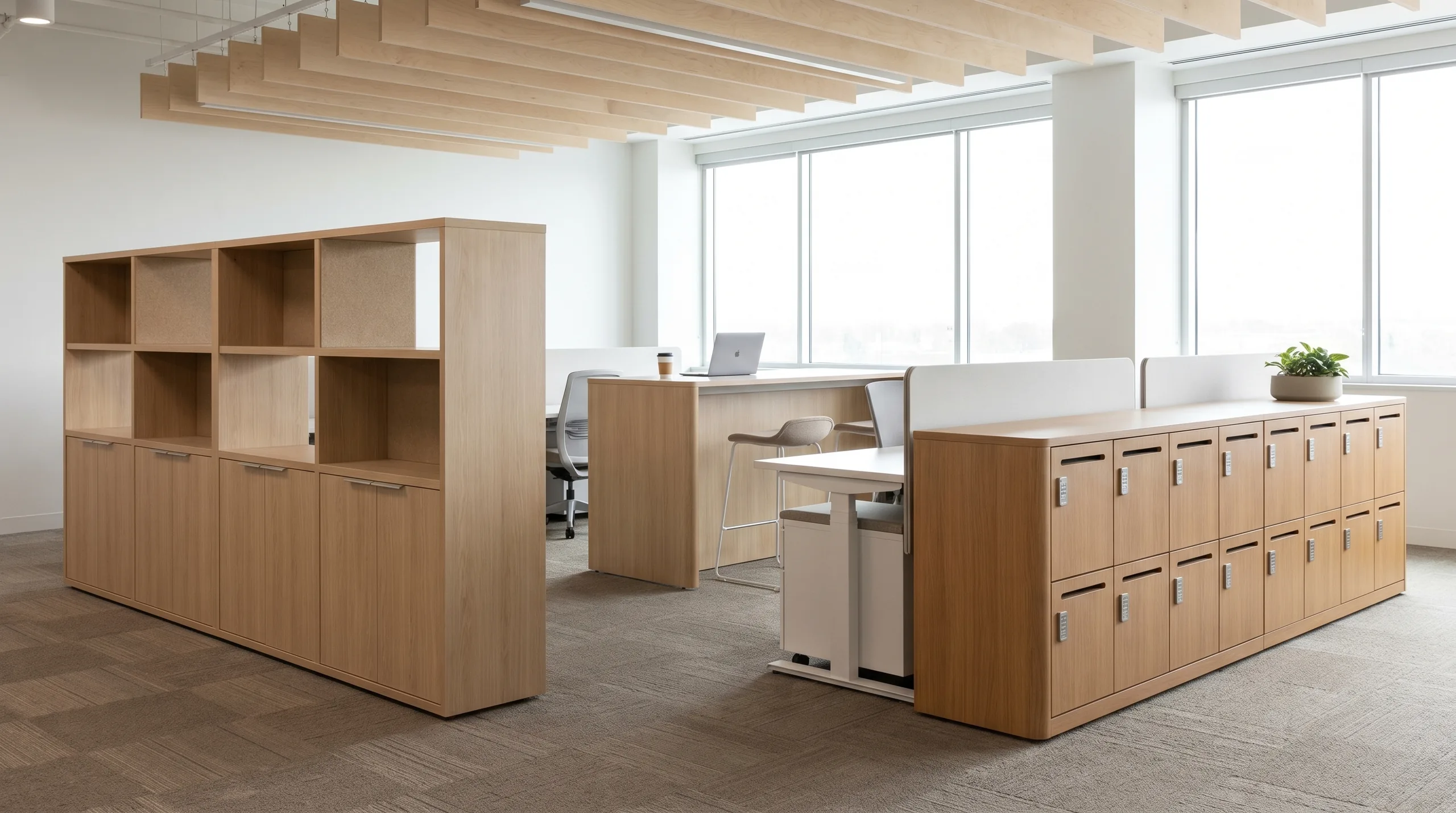Zone Divider with locker configuration in open office